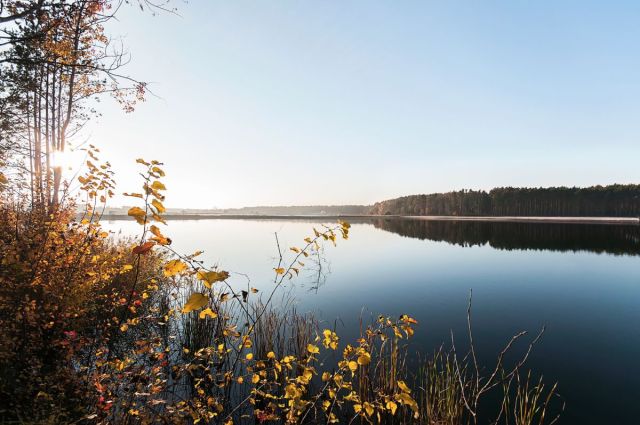 dom wolnostojący, 4 pokoje Brzezinki. Zdjęcie 10