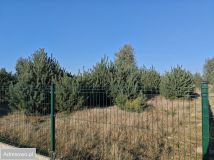 Działka budowlana Wielka Wieś. Zdjęcie 4