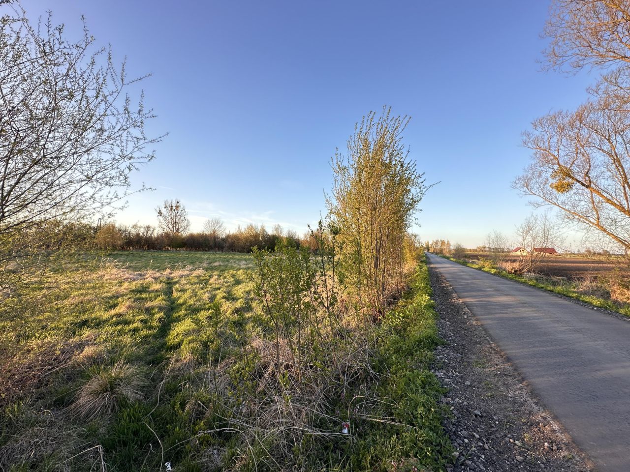 Działka budowlana Przynotecko. Zdjęcie 19