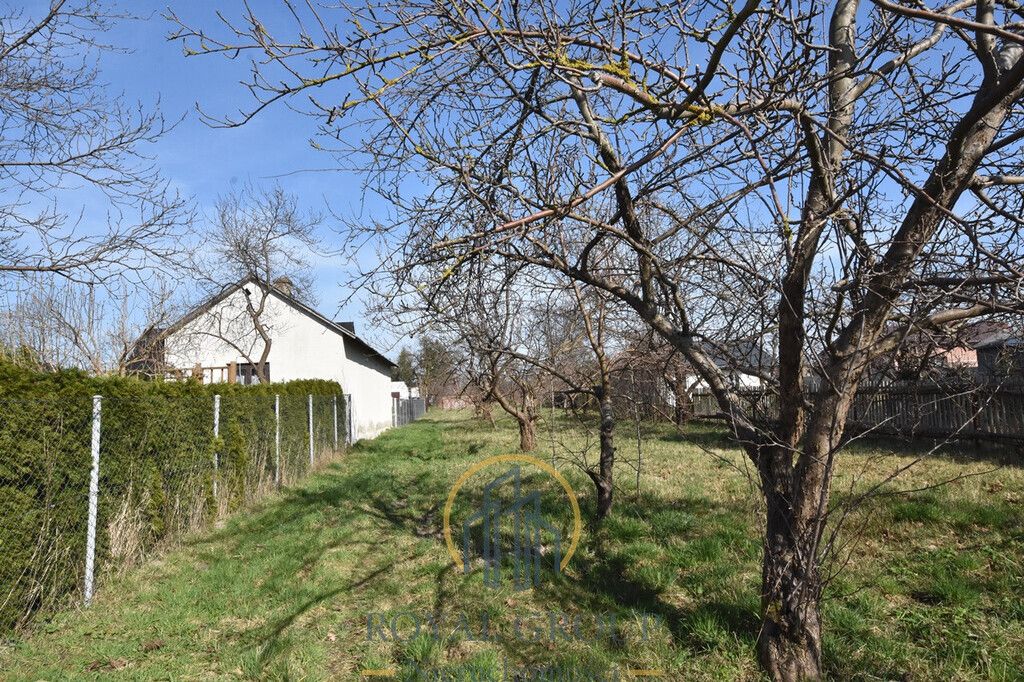 Działka siedliskowa Annobór-Kolonia. Zdjęcie 4