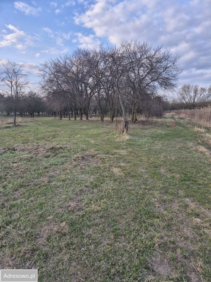 Działka rolna Kępa Nadbrzeska. Zdjęcie 3