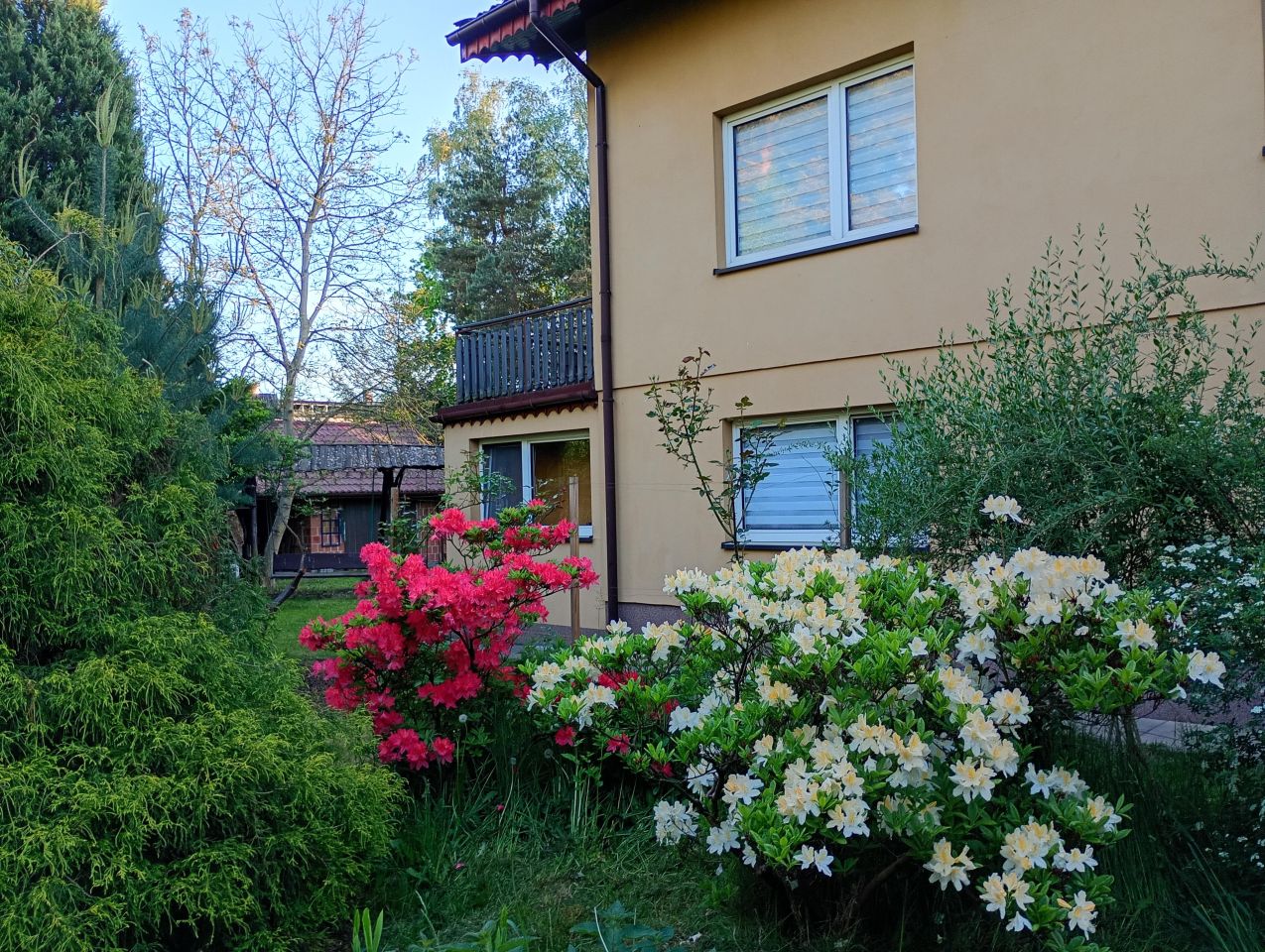 dom wolnostojący, 7 pokoi Dobroń, ul. Odrodzenia. Zdjęcie 2