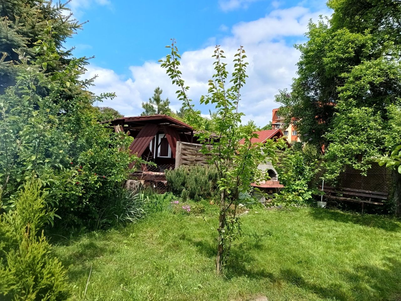 Działka rod Będzin Grodziec. Zdjęcie 3