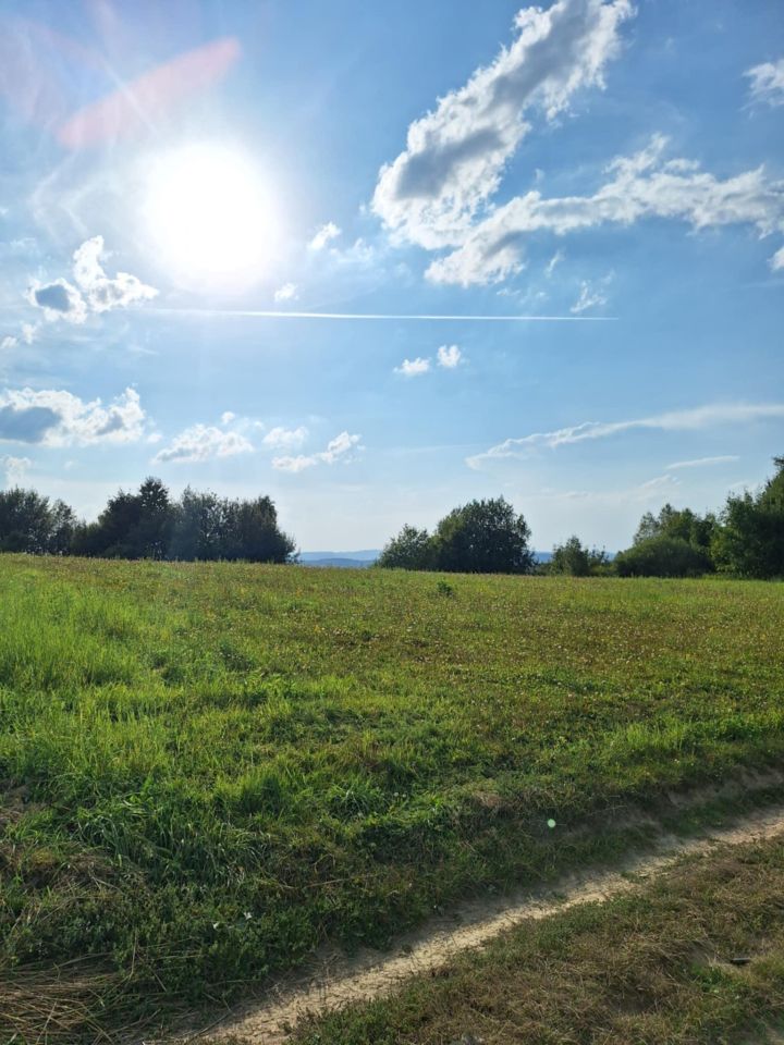 Działka rolna Golcowa. Zdjęcie 6