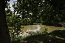 dom wolnostojący, 6 pokoi Suchcice. Zdjęcie 4