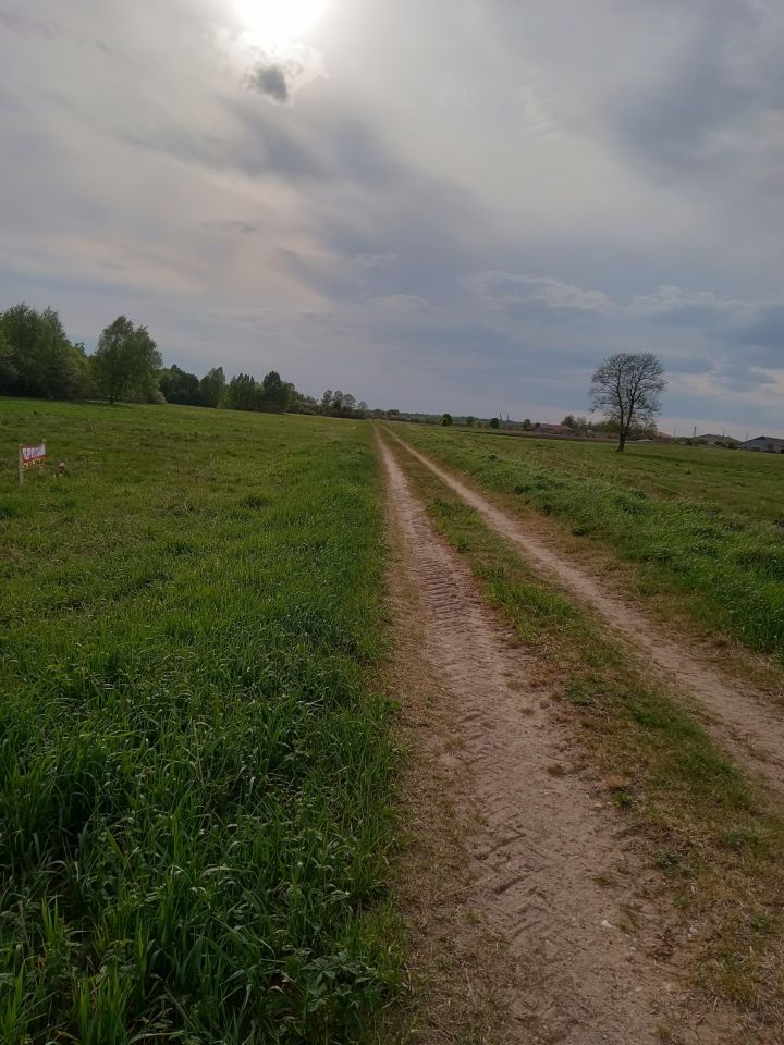 Działka budowlana Ploski. Zdjęcie 14