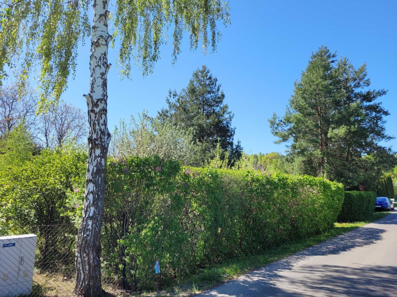 Działka budowlana Jaroszyn. Zdjęcie 6