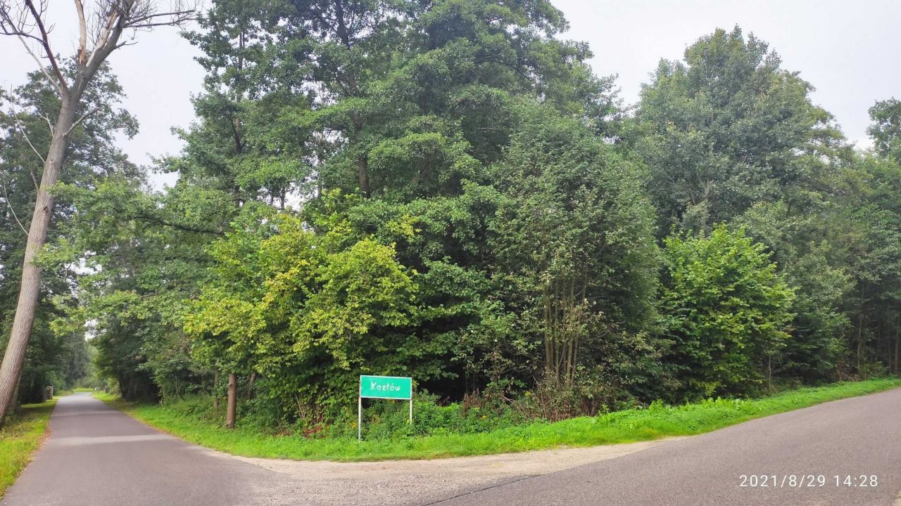 Działka budowlana Grabina. Zdjęcie 2