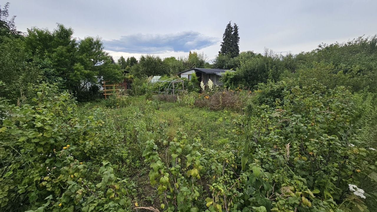 Działka rod Ostrowiec Świętokrzyski. Zdjęcie 6