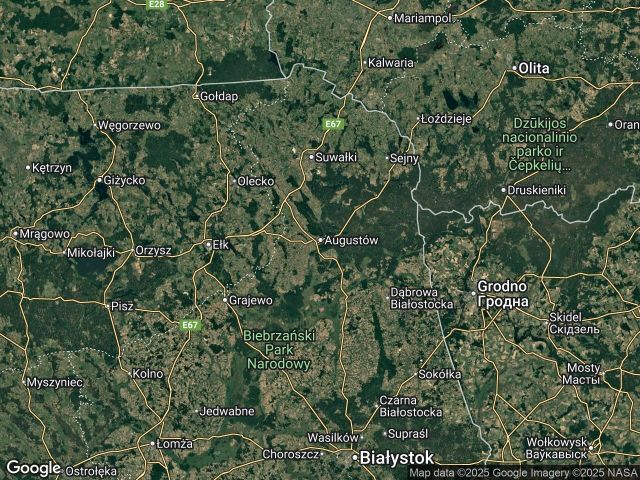 Działka leśna Nowy Lipsk. Zdjęcie 1