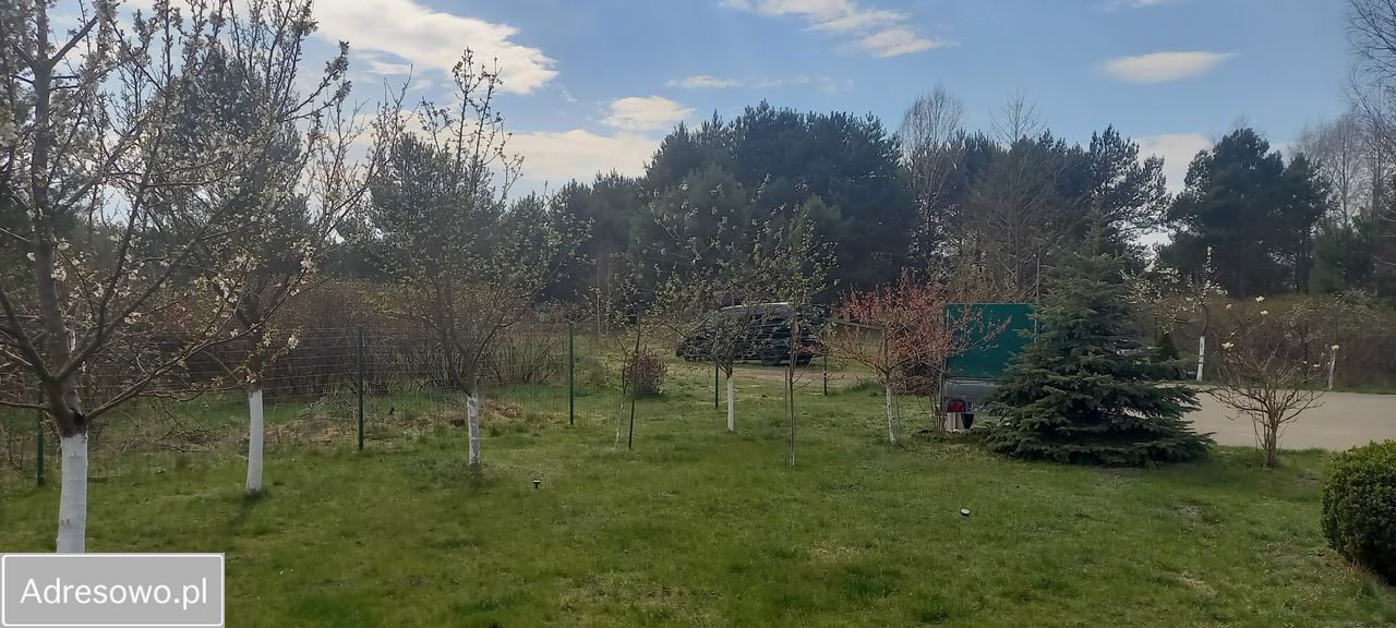 dom wolnostojący, 2 pokoje Borek, brzo. Zdjęcie 3