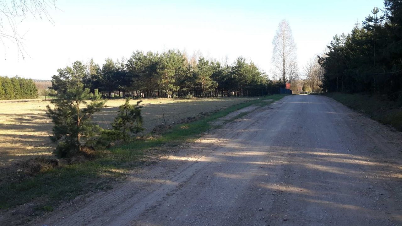 Działka rolna Nowy Ostrów. Zdjęcie 3