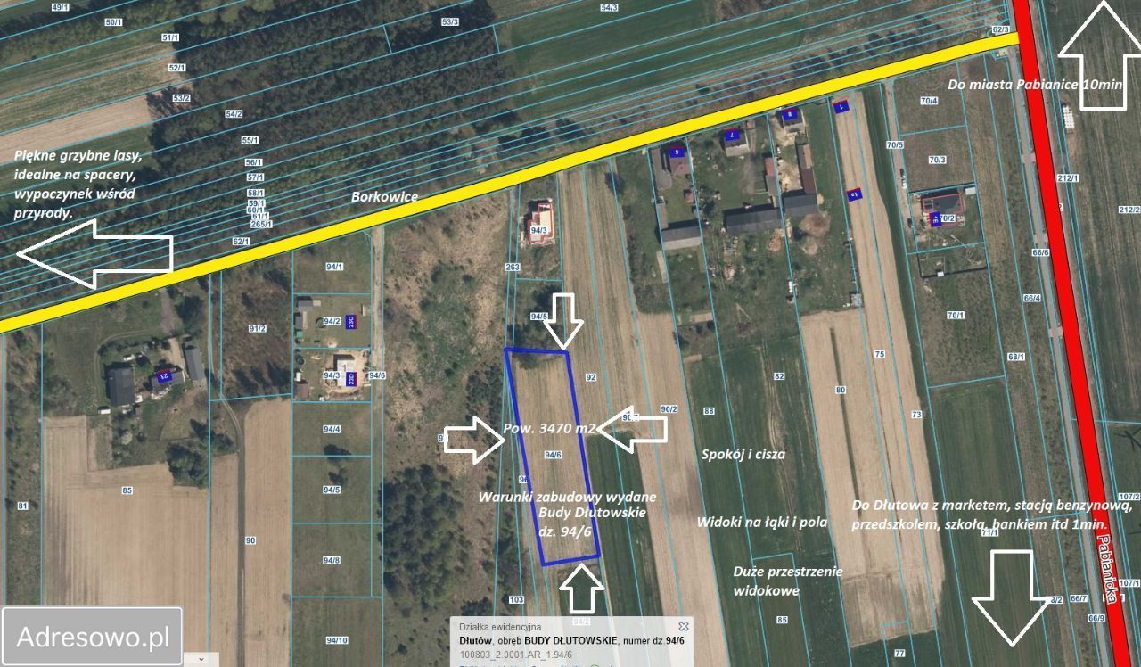 Działka rolno-budowlana Budy Dłutowskie. Zdjęcie 13