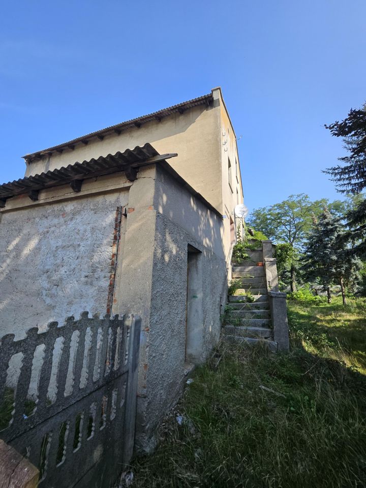 Nieruchomość komercyjna Bucz, ul. Kasztanowa. Zdjęcie 22