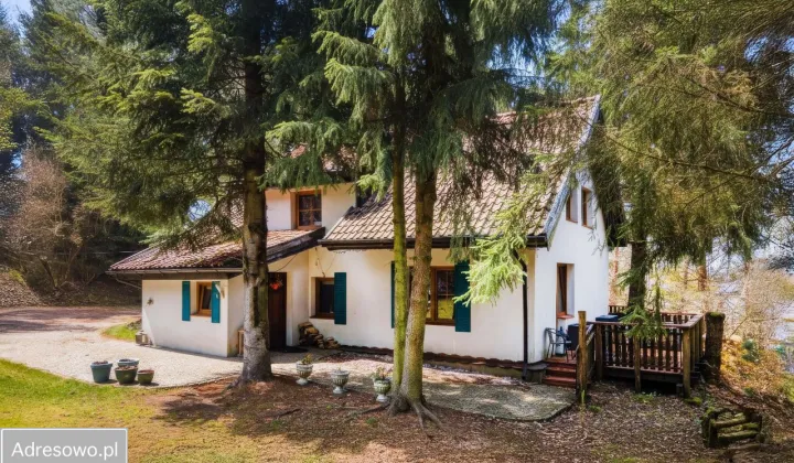 dom wolnostojący, 10 pokoi Zezuj