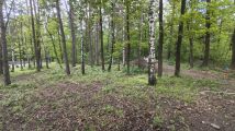 Działka budowlana Kielce Słowik-Willa, ul. Charsznicka. Zdjęcie 1