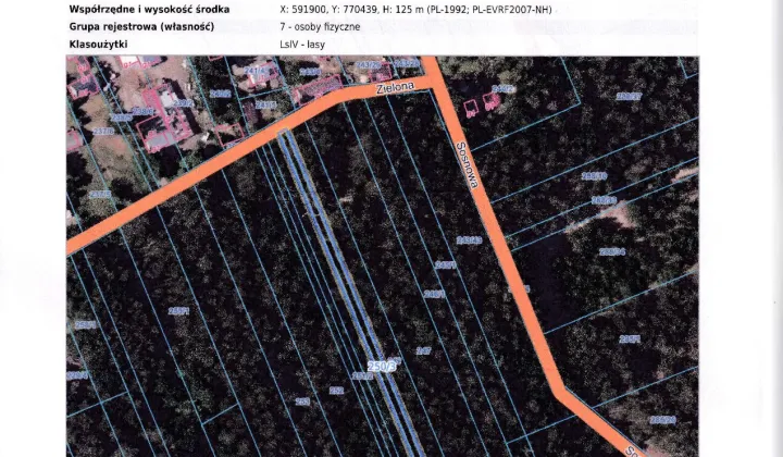 Działka leśna Oliszki, zielona