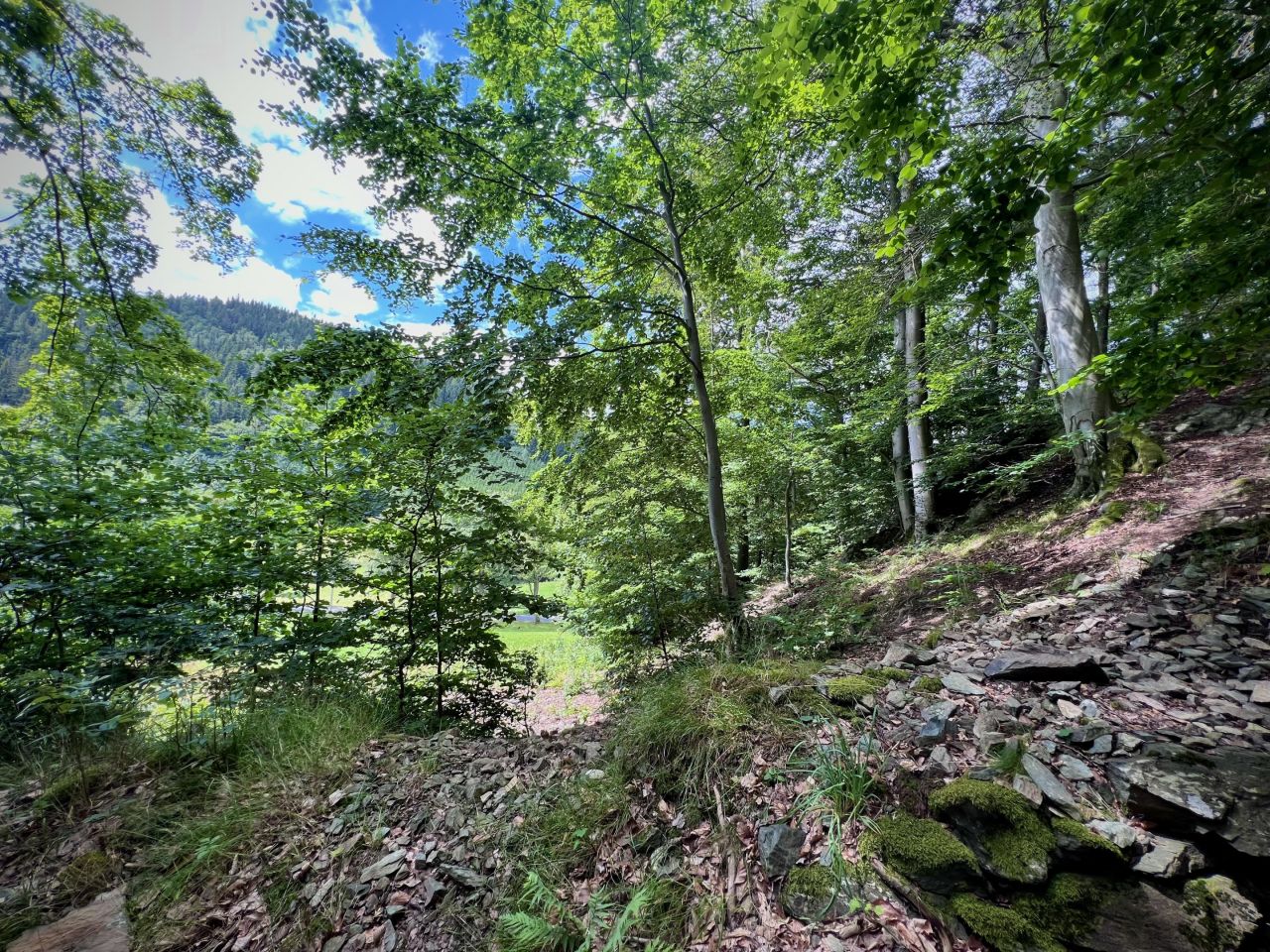 Działka rekreacyjna Jarkowice. Zdjęcie 13