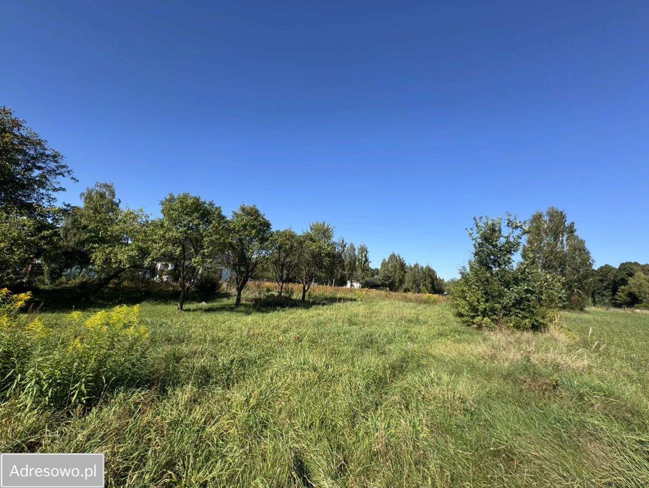 Działka budowlana Jedlnia-Letnisko, ul. Piotrowicka