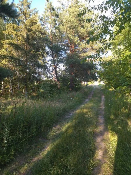 Działka budowlana Nowy Dwór, ul. Porzeczkowa. Zdjęcie 4