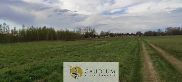 Działka budowlana Drewnica. Zdjęcie 6