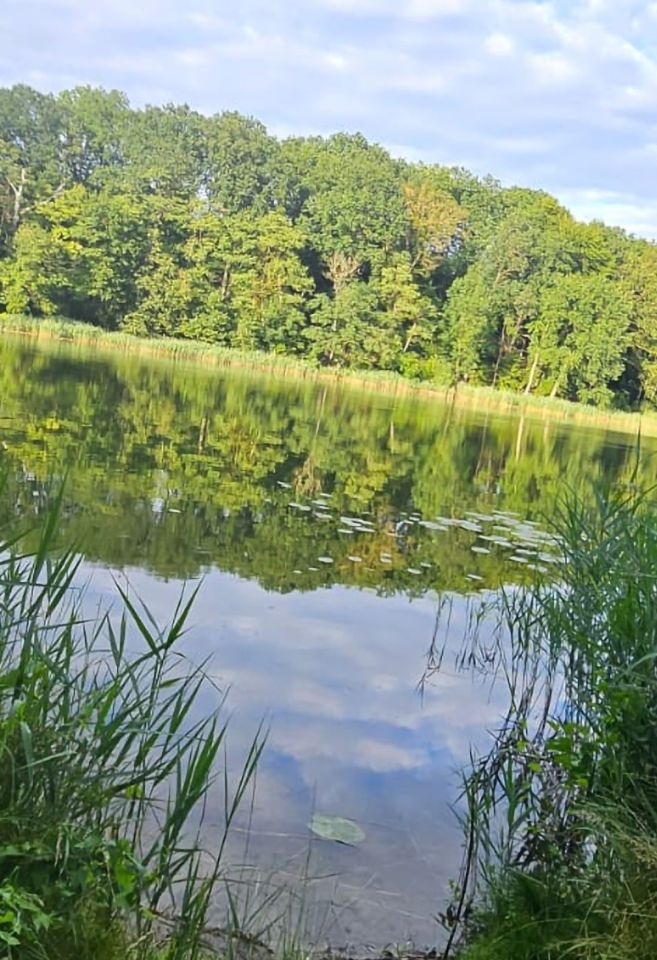 Działka rekreacyjna Tucze. Zdjęcie 5