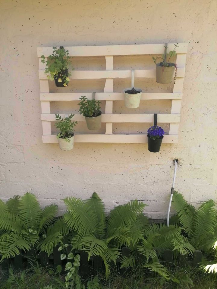 Działka rod Gliwice Ligota Zabrska, ul. Kujawska. Zdjęcie 4