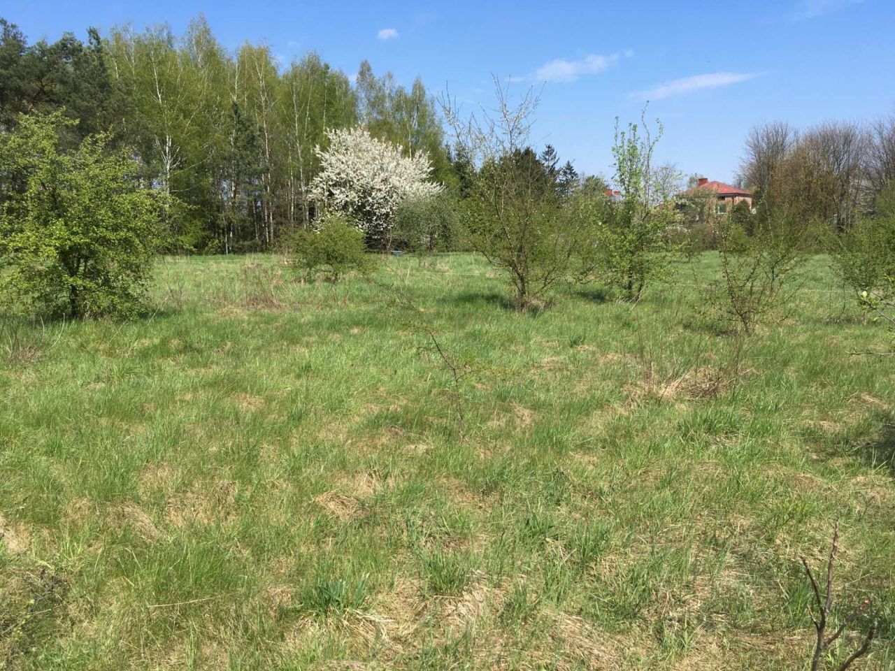 Działka budowlana Sokołów Podlaski, ul. Olszowa. Zdjęcie 5