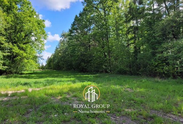 Działka inwestycyjna Kamionka. Zdjęcie 6