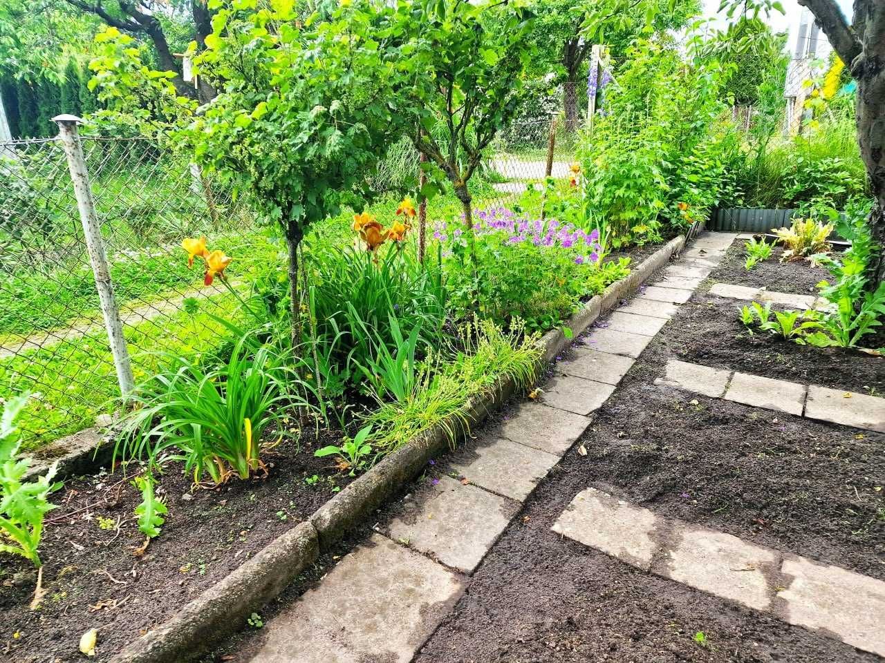 Działka rod Bydgoszcz, ul. Toruńska. Zdjęcie 8