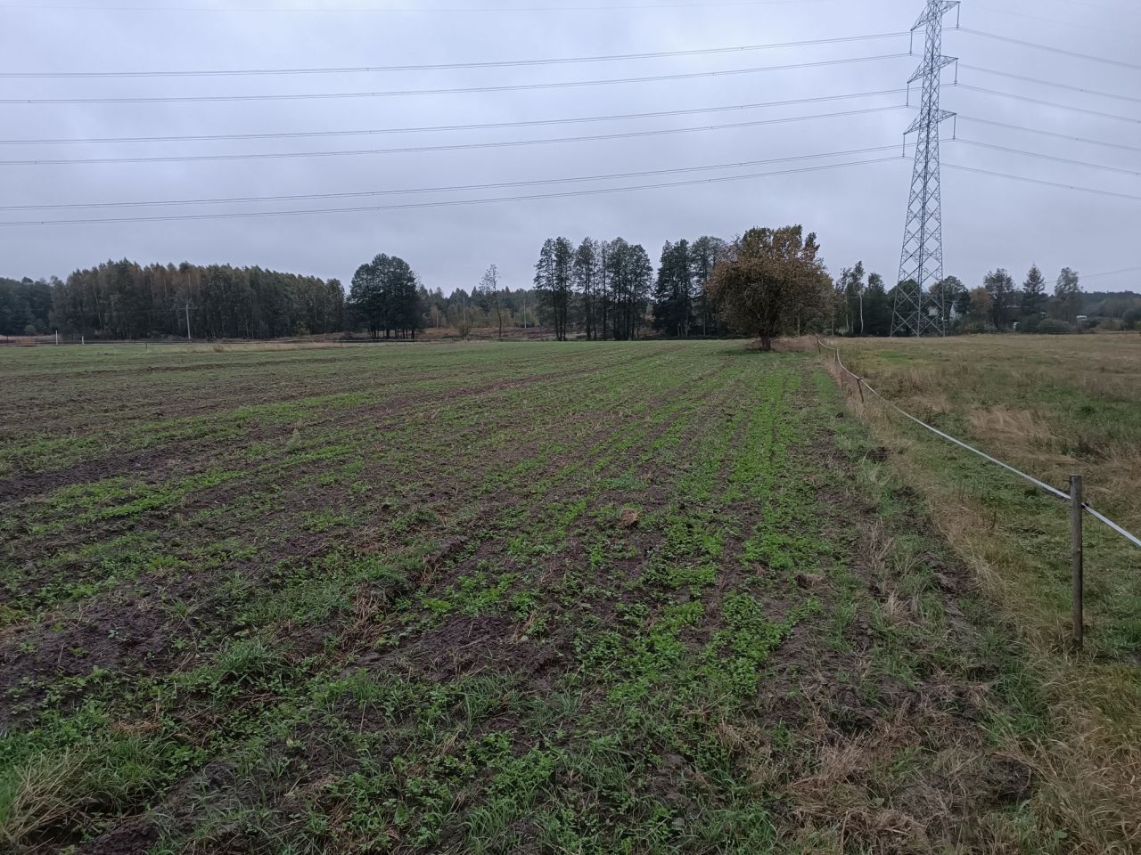 Działka rolna Olszyc-Folwark. Zdjęcie 5