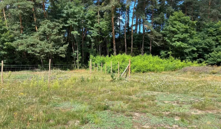 Działka budowlana Ossa