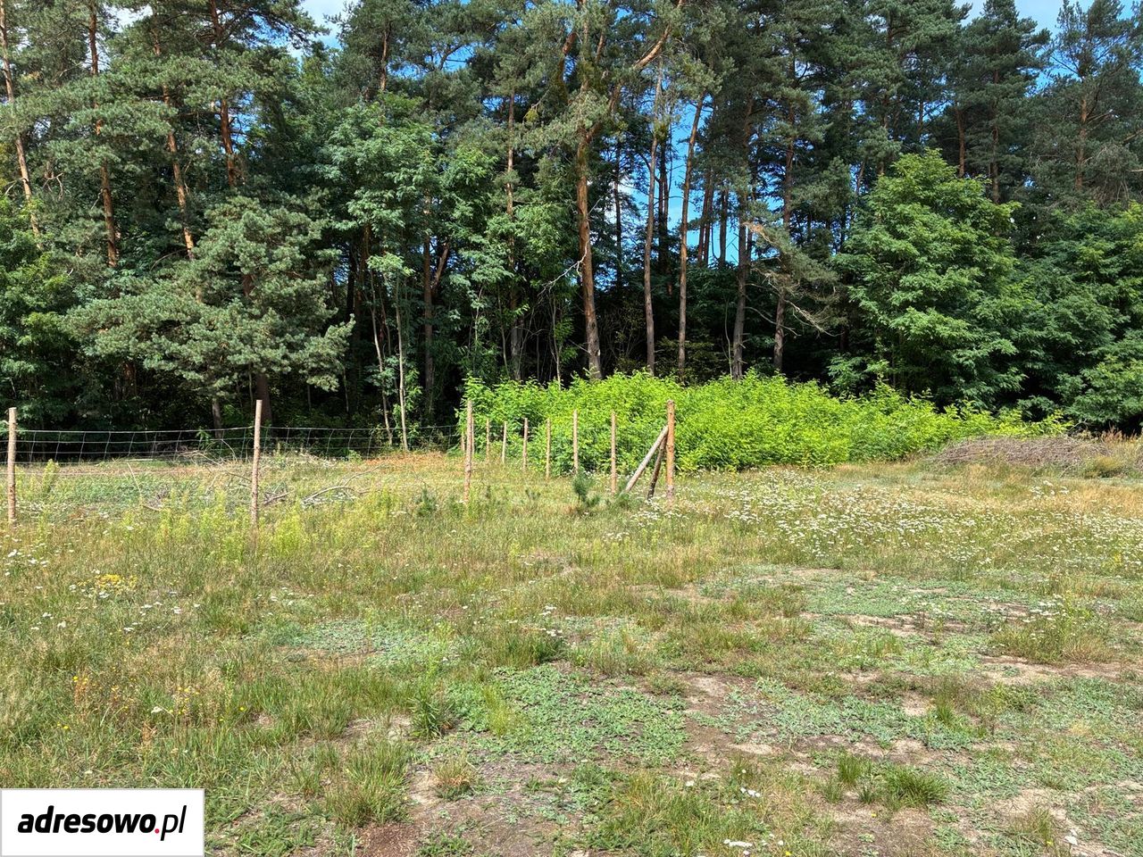Działka budowlana Ossa. Zdjęcie 1