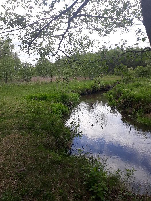 Działka rekreacyjna Kolonie Stanisławów. Zdjęcie 2
