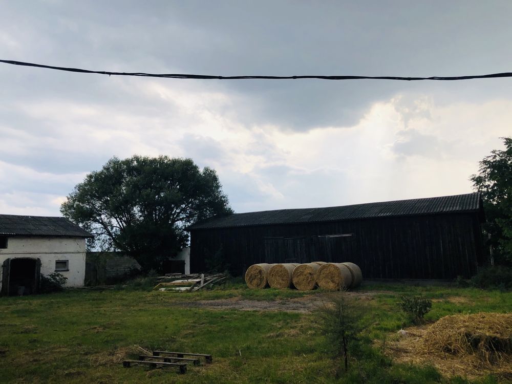 gospodarstwo Łubki. Zdjęcie 7