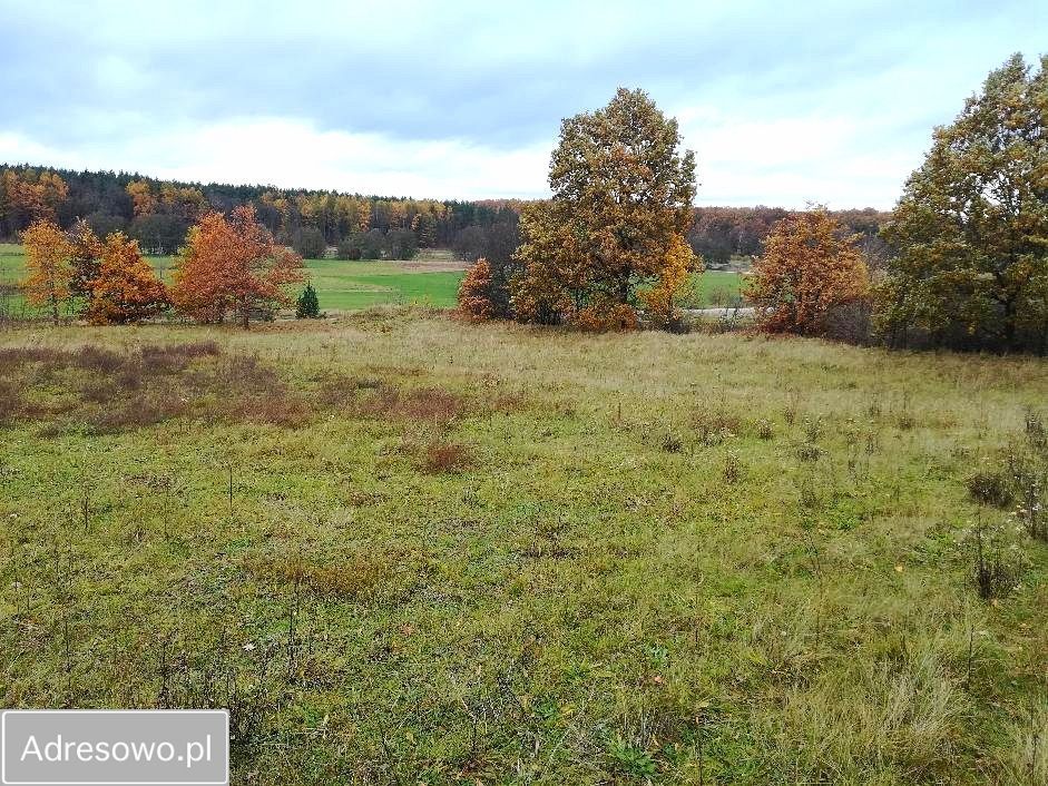 Działka budowlana Nowa Wieś Lęborska, ul. Kębłowska