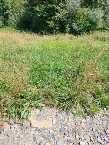 Działka rolno-budowlana Krasne Potockie Nowa Wieś. Zdjęcie 1