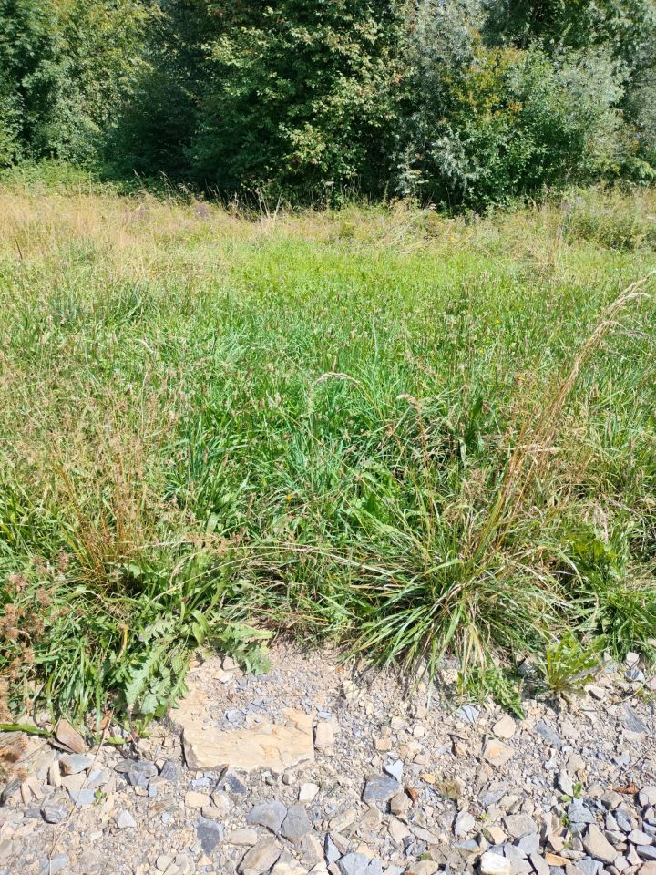 Działka rolno-budowlana Krasne Potockie Nowa Wieś