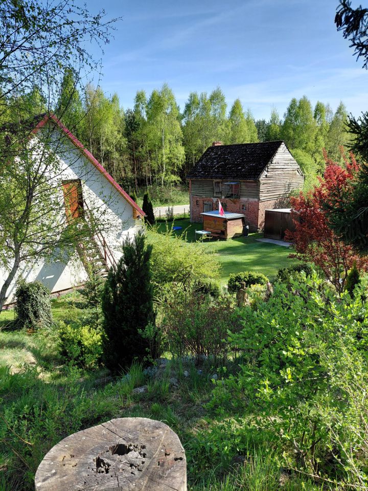 dom wolnostojący, 4 pokoje Sierpowo. Zdjęcie 14