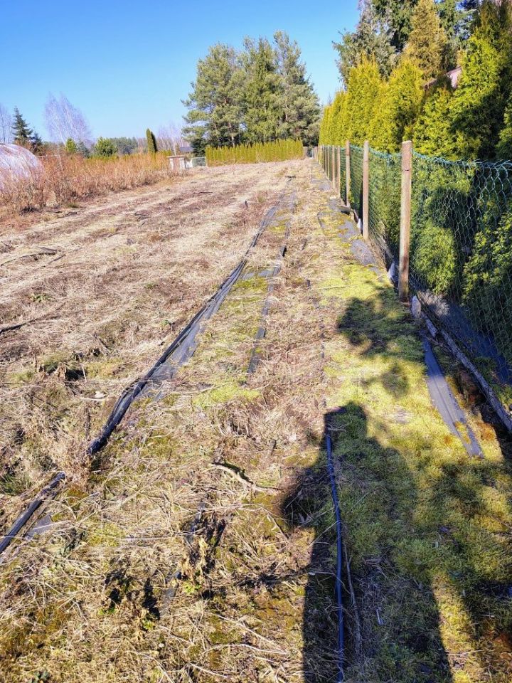 Działka rekreacyjna Białystok Jaroszówka. Zdjęcie 3