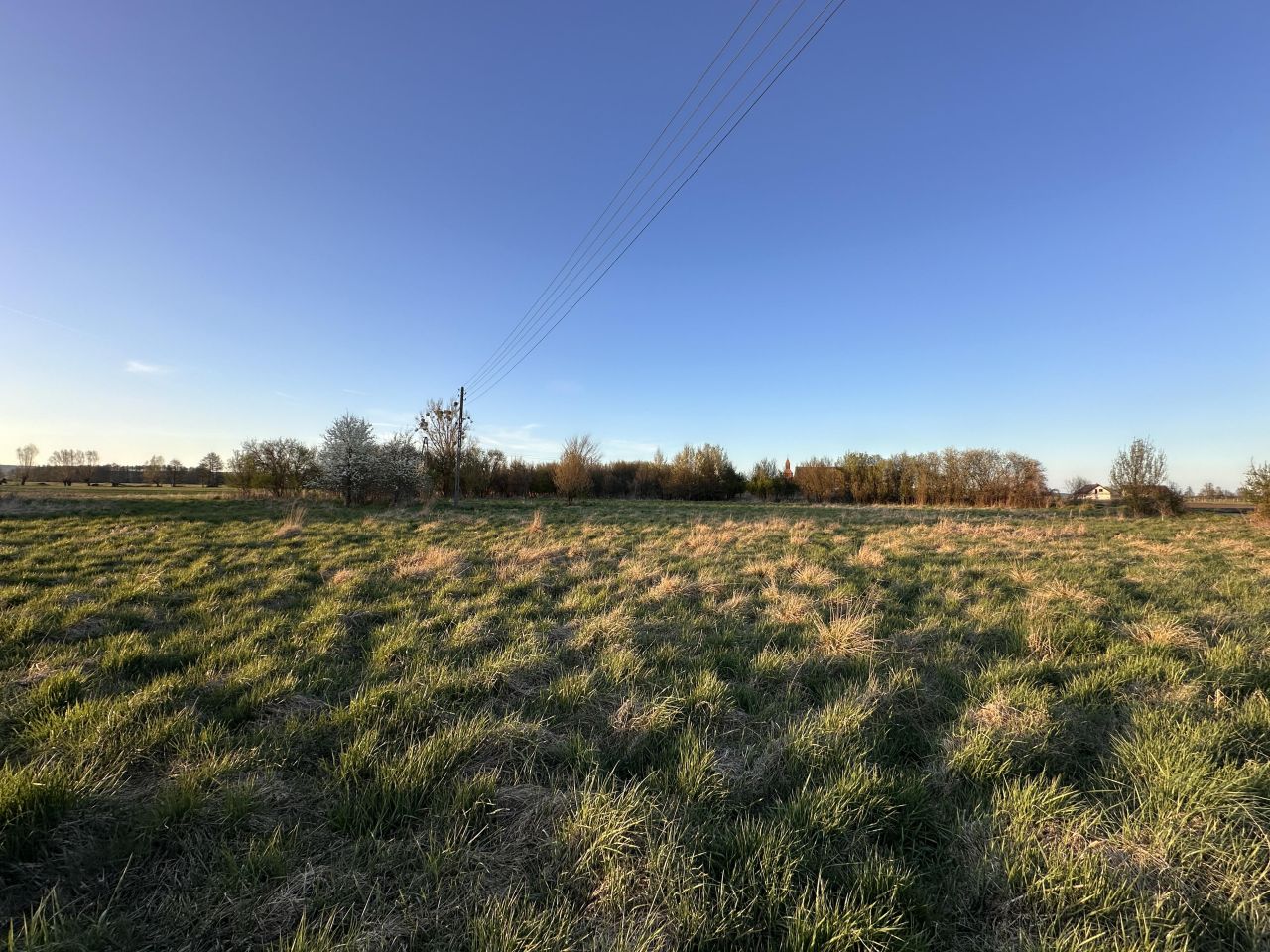 Działka budowlana Przynotecko. Zdjęcie 12