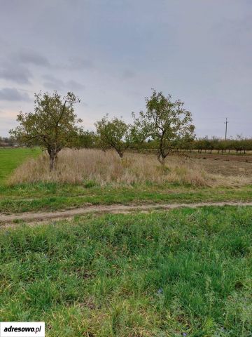 Działka rolna Kolonia Nadwiślańska. Zdjęcie 1