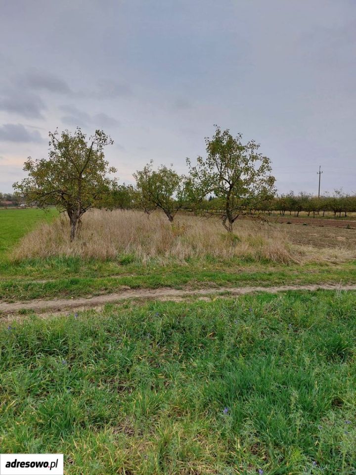 Działka rolna Kolonia Nadwiślańska. Zdjęcie 1