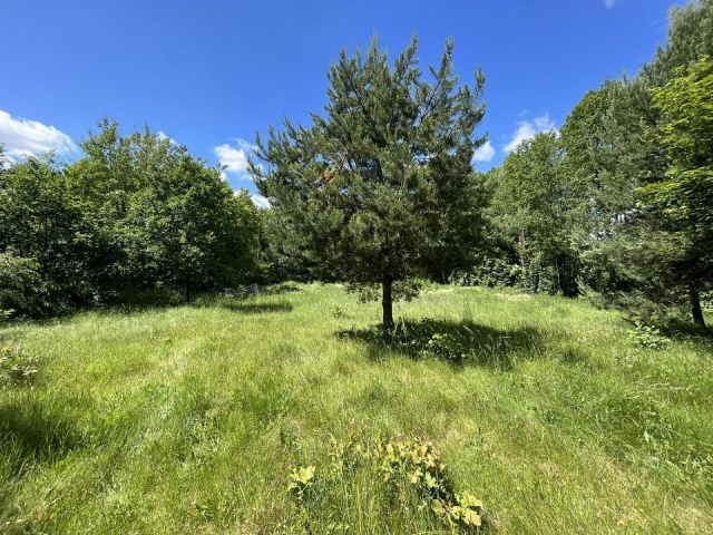 Działka rolno-budowlana Daniłówka Druga. Zdjęcie 1