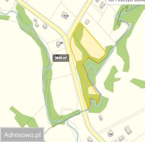 Działka inwestycyjna Łodyna. Zdjęcie 1