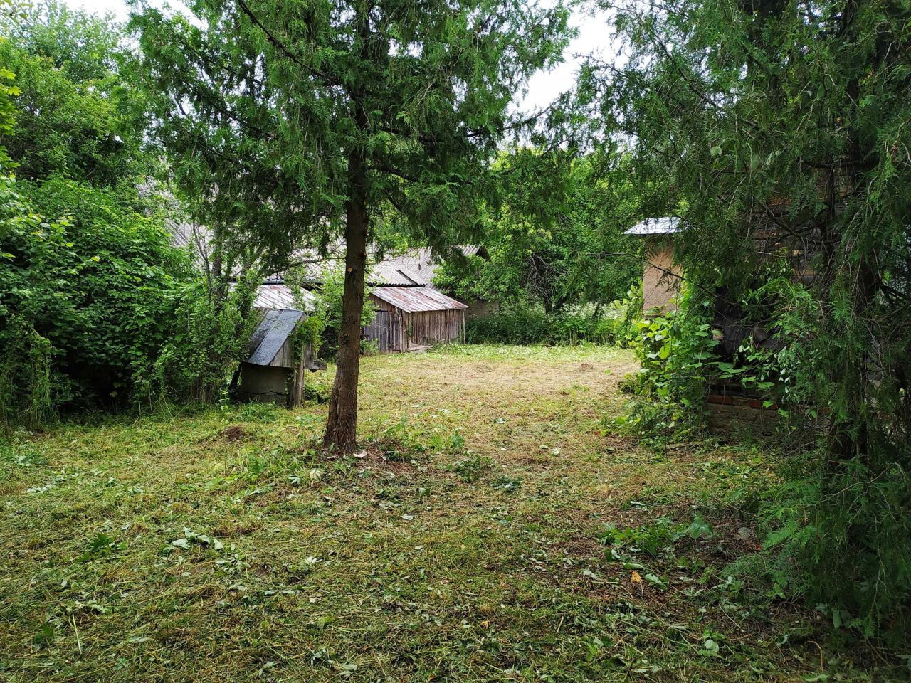 Działka siedliskowa Kalwińszczyzna. Zdjęcie 5