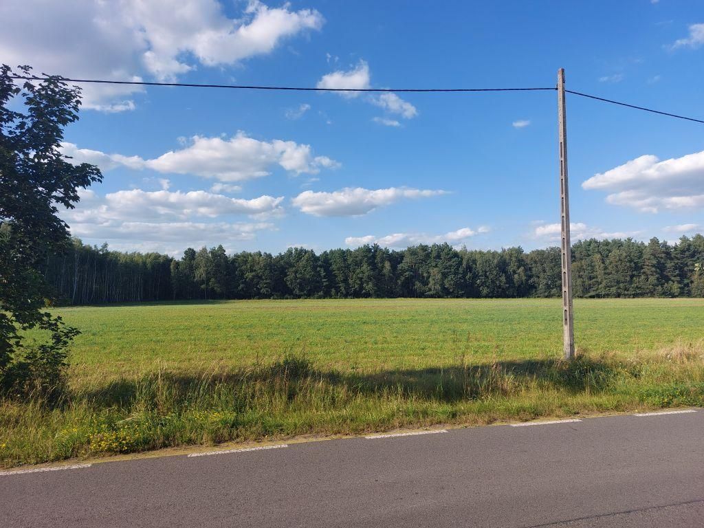 Działka rolno-budowlana Zamęty. Zdjęcie 6