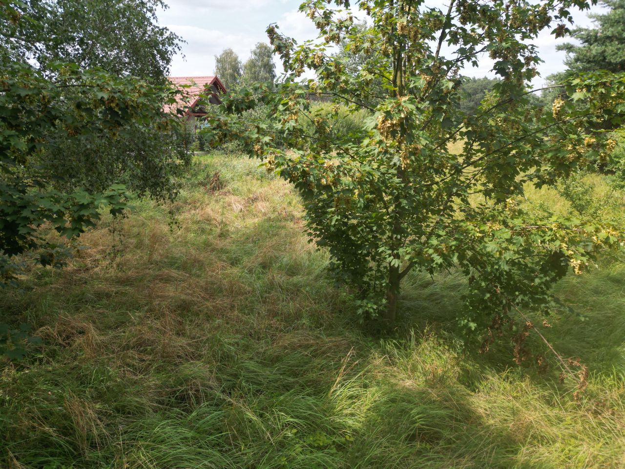 Działka budowlana Gądkowice. Zdjęcie 6