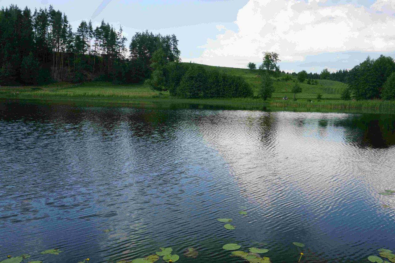 Działka siedliskowa Osinki. Zdjęcie 5