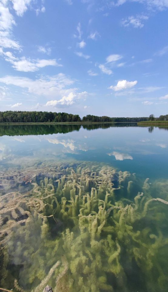 Działka rolna Stare Kiełbonki. Zdjęcie 2